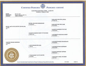 Zena's Certified Pedigree
